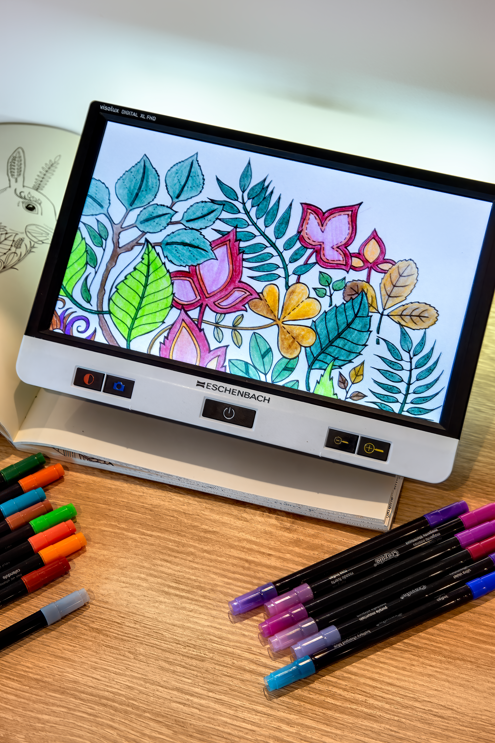 Visolux DIGITAL XL FHD viewing art 